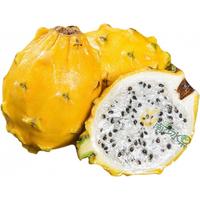 南步海南燕窝果麒麟果黄色黄皮火龙果新鲜热带水果高端礼盒 精选2斤 大果【3-4两】礼盒装