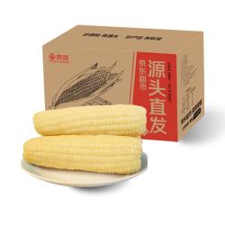 京觅 东北白糯玉米 4.5斤7-10穗 根茎类蔬菜