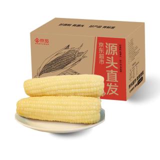 京觅 东北白糯玉米 4.5斤7-10穗 根茎类蔬菜