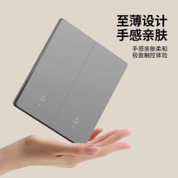 fdd 远程控制 智能开关  灰色