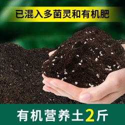 甜沃 营养土养花通用种菜土壤种植土绿植物多肉育苗家用盆栽种花土