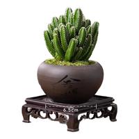 创享绿洲禅意莲花盆万重山仙人掌多肉植物花卉绿植盆栽阳台四季好养易活 万重山舍得盆+苔藓+方底座