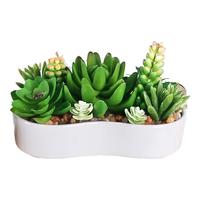 悠梵萌仿真绿植植物盆景假花仿真花室内摆设桌面摆件仿生多肉小盆栽