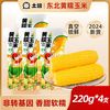 东北 新鲜东北黄玉米真空包装220g*4支黏玉米棒黄糯苞米甜粘早餐非即食