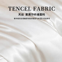 红豆A类天丝夏被单人夏凉被夏季空调被可水洗薄款被子被芯