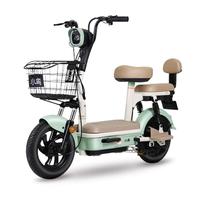小鸟新国标电动自行车48V铅酸电池真空轮胎通勤代步两轮电瓶车电动车 G79 青涩绿【48V12A】
