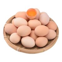 神农游 农家散养谷物鲜鸡蛋 50g 30枚