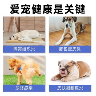 威隆麻佛美味片马波沙星片犬猫皮肤病脓皮症麻佛泌尿感染消炎药
