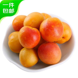 京鲜生 新疆吊干杏 净重2斤装 单果12g起 生鲜 源头直发包邮 新鲜水果