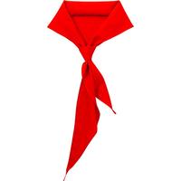 优和 红领巾小国标1.2米 涤纶大号 1条装 红领巾京东自营用品 0256