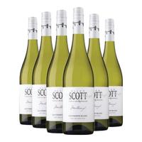 ALLAN SCOTT新西兰马尔堡产区Sauvignon Blanc长相思干白葡萄酒WS93分 2024白标(WS榜单top)整箱6支装