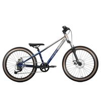 大行（DAHON）自行车26英寸21速前后双碟刹青少年运动山地车飞驰 银峰蓝 26英寸