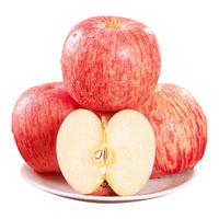 京地达洛川苹果水果红富士净重4.5斤单果85mm+源头直发