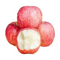 京地达陕西洛川苹果水果生鲜红富士苹果礼盒净重6斤单果85mm+源头 洛川苹果|臻选12枚|手提礼盒