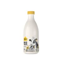 认养一头牛 低温奶 4.0优质乳蛋白 营养早餐高钙牛乳 新鲜牛奶950ml家庭装 4.0蛋白 高钙牛乳950ml