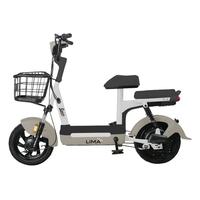 立马小糖心电动自行车铅酸电池48V12Ah上班代步新国标电瓶车欢乐豆小锦鲤 莫奈棕