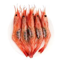 仁豪水产【源头直发】丹麦大号北极甜虾刺身 净重2斤 70-90只 即食日料