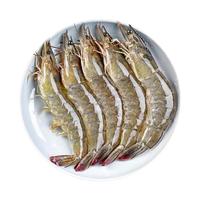  渔游记 盐冻 厄瓜多尔白虾  泡沫箱 60-75只 3斤