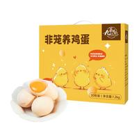 九華粮品非笼养鸡蛋30枚 净重2.4斤 礼盒