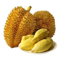 御京鲜泰国金枕榴莲盲盒新鲜果带壳整箱水果巴掌榴莲鲜榴莲整个一箱 榴莲一箱2-4个装（13-14斤）