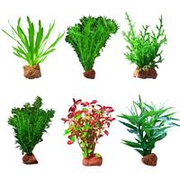 疯狂水草 crazy aquatic plants懒人水草植物直接入缸火山石鱼缸造景套餐20-40cm缸源头直发b
