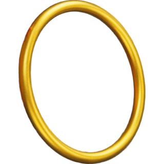 六福珠宝 福满传家足金古法素圈黄金手镯 A01G0012DS 56mm-约6.66克