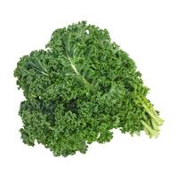 北蔬 羽衣甘蓝种子苗四季盆栽阳台种耐寒菜种籽 绿羽衣甘蓝种子100粒