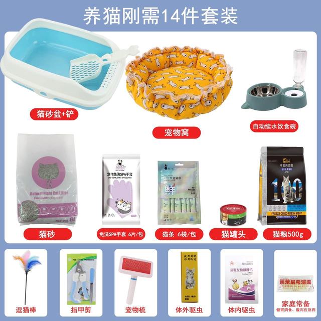 英短猫幼猫蓝猫幼猫蓝白猫美短幼猫加白起司猫虎斑猫缅因猫银渐层