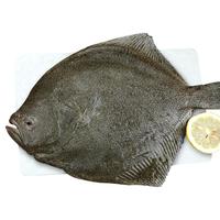 果勋多宝鱼净重3-3.6斤共3条装海捕鲜活冷冻比目鱼鲽鱼 海鲜水产鱼类