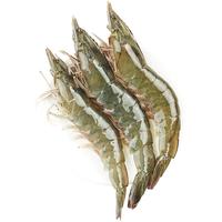 海皇湾 虾 青岛盐冻大虾 青虾冷冻冰虾基围虾类白虾 海虾 2.8- 3斤(净重)  18-22厘米1020