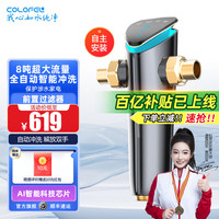 科罗菲 COLOFEL 前置过滤器全自动家用管道自来水反冲洗8吨大流量升级防冻防爆净水设备