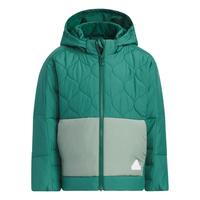 adidas 儿童羽绒服 秋冬保暖 660蓬松度 连帽羽绒服IQ1343 森林绿 A110  110 （105-110cm）