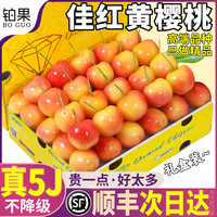 铂果 大连 佳红黄樱桃 5J 3斤