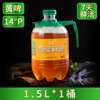 青麦 精酿原浆啤酒桶装7天鲜啤生啤酒青岛特产扎啤大麦黄啤1.5升装
