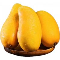 壹萌果蔬金煌芒芒果 当季现摘广西大芒果新鲜水果青皮芒果整箱 9斤老树果【单果350g+】 净8斤