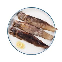 美加佳 冷冻整只大鱿鱼净重2斤（2-3条）烧烤食材 铁板鱿鱼 烧烤食材