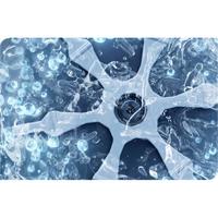  Casarte/卡萨帝 直驱变频 滚筒洗衣机  锡兰青 10kg