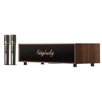 KINYO/金运 蓝牙音响 家庭KTV音响套装+麦克风+音响一体+电视功放机+话筒