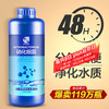 疯狂石头 鱼池净水药剂硝化细菌600ML装