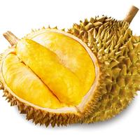 四叔公果蔬金标泰国金枕榴莲【JD直发-多地次日达】新鲜榴莲母亲节水果礼盒 【金标准】黄金干包果 超高出肉率 7-8斤|1-2颗(颗颗保底4房)