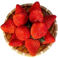 三萌果蔬丹东草莓【JD空运】99红颜奶油草莓多地次日达新鲜水果 3斤甄选装净2.8斤【超划算-高率】 A+级【大果装】单果20-25g