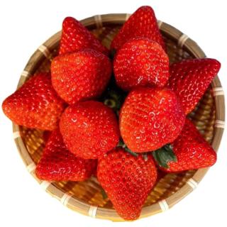 三萌果蔬丹东草莓【JD空运】99红颜奶油草莓多地次日达新鲜水果 3斤甄选装净2.8斤【超划算-高率】 A+级【特大果】单果25-30g 特大果【单果30g+】