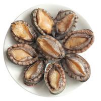 海蕴极鲜【活鲜】鲜活鲍鱼 新鲜烧烤食材 15-18只/斤 小鲍鱼