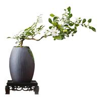 临雅小叶飘枝九里香新中式盆景绿植办公室桌面盆栽源头直发含盆方底