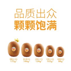佳沛 金奇异果18粒（单果113-124g）