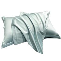 南极人A类抗菌仿天丝枕套48x74cm一对防螨枕头套亲肤双人枕芯套 纯粹兰【A类抗菌】