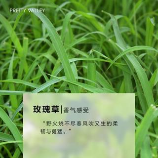 玫瑰草精油5ml提亮肤色按摩面部身体按摩护肤保湿室内空间熏香