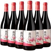 帝月13.5度红酒750ml白葡萄酒宁夏贺兰山东麓甜型干红葡萄酒高档送人 梅鹿辄干红6瓶整箱