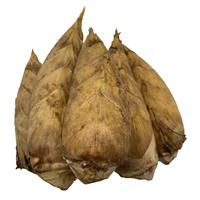京觅临安冬笋新鲜现挖 净重5斤单果2-4两 精选鲜笋竹笋源头直发 