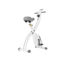 铁人（IRONMAN）X型可折叠家用磁控车室内动感单车运动自行车减肥塑型 冷灰白-可折叠-免安装+